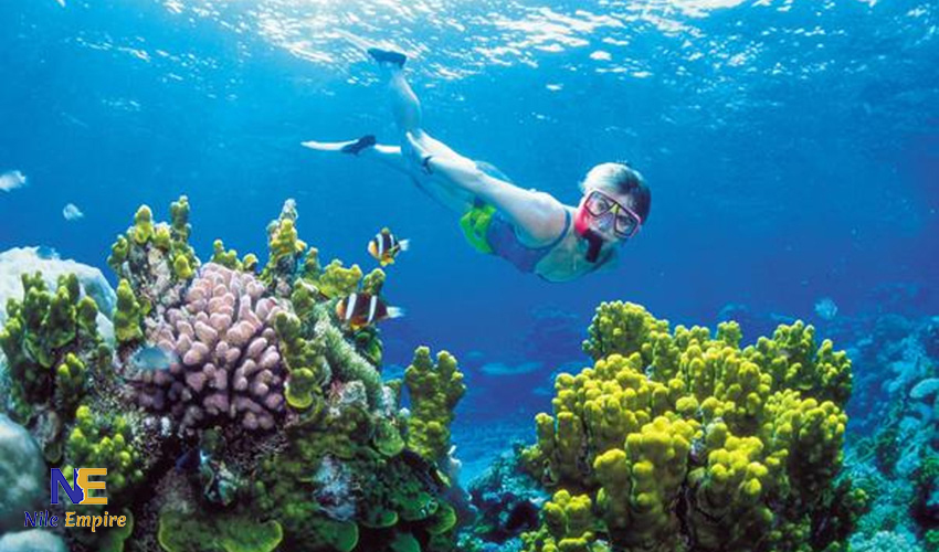 snorkling hurghada (3)